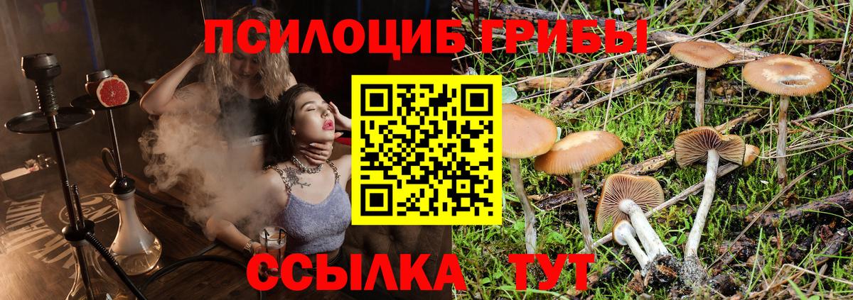 Галлюциногенные грибы MAGIC MUSHROOMS Петрозаводск