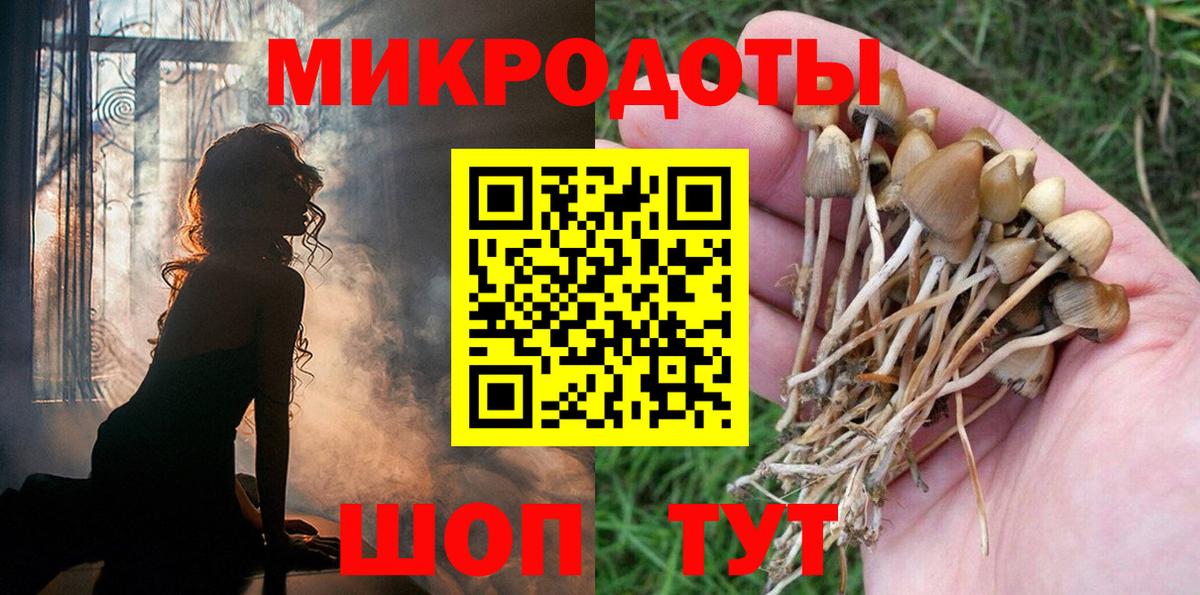 Петрозаводск  где можно купить наркотик  Вход с VPN  Галлюциногенные грибы GOLDEN TEACHER  Галлюциногенные грибы MAGIC MUSHROOMS 